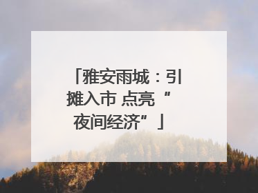 雅安雨城：引摊入市 点亮“夜间经济”