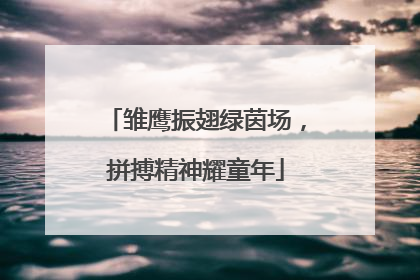 雏鹰振翅绿茵场，拼搏精神耀童年