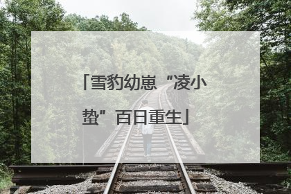 雪豹幼崽“凌小蛰”百日重生