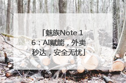 魅族Note 16：AI赋能，外卖秒达，安全无忧