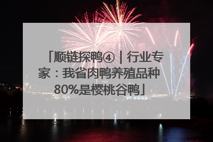 顺链探鸭④｜行业专家：我省肉鸭养殖品种80%是樱桃谷鸭