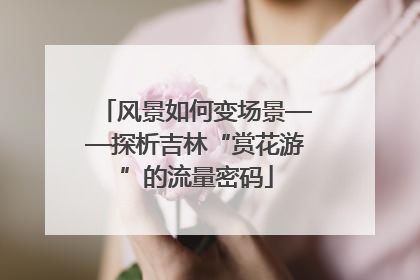 风景如何变场景——探析吉林“赏花游”的流量密码