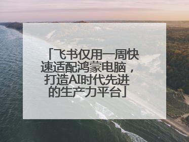 飞书仅用一周快速适配鸿蒙电脑，打造AI时代先进的生产力平台