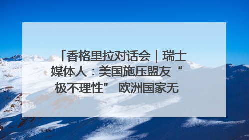 香格里拉对话会｜瑞士媒体人：美国施压盟友“极不理性” 欧洲国家无意与中国“脱钩断链”