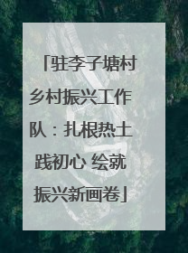驻李子塘村乡村振兴工作队：扎根热土践初心 绘就振兴新画卷