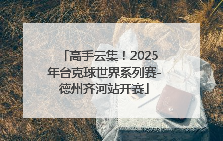 高手云集！2025年台克球世界系列赛-德州齐河站开赛