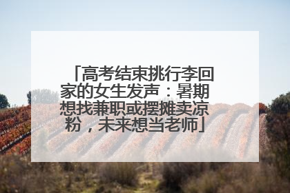高考结束挑行李回家的女生发声：暑期想找兼职或摆摊卖凉粉，未来想当老师
