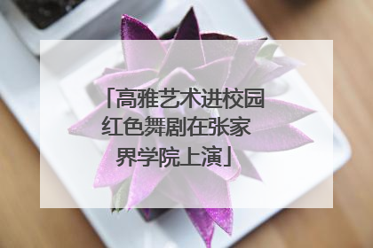 高雅艺术进校园 红色舞剧在张家界学院上演