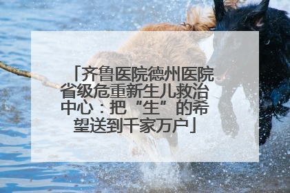 齐鲁医院德州医院省级危重新生儿救治中心：把“生”的希望送到千家万户