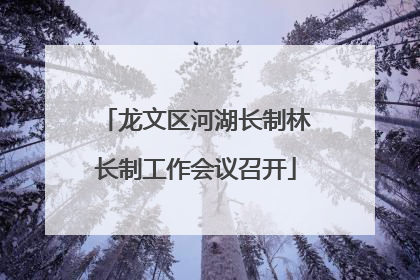 龙文区河湖长制林长制工作会议召开