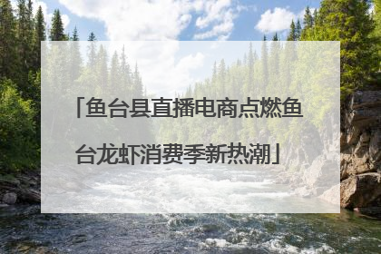 鱼台县直播电商点燃鱼台龙虾消费季新热潮