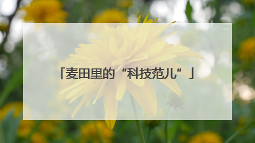 麦田里的“科技范儿”