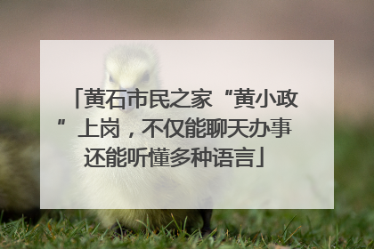 黄石市民之家“黄小政”上岗，不仅能聊天办事还能听懂多种语言