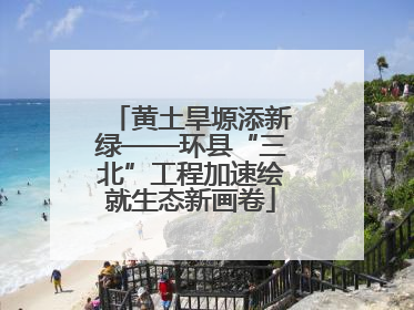 黄土旱塬添新绿——环县“三北”工程加速绘就生态新画卷