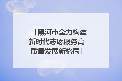 黑河市全力构建新时代志愿服务高质量发展新格局