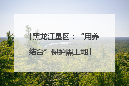 黑龙江垦区：“用养结合”保护黑土地