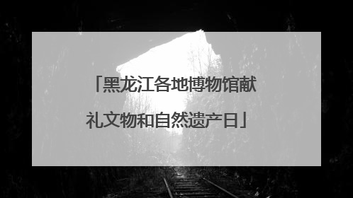 黑龙江各地博物馆献礼文物和自然遗产日