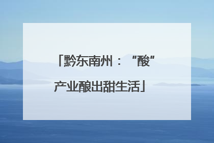 黔东南州：“酸”产业酿出甜生活