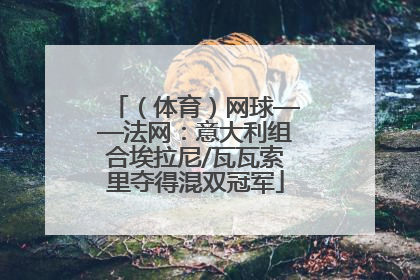 （体育）网球——法网：意大利组合埃拉尼/瓦瓦索里夺得混双冠军