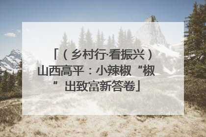 （乡村行·看振兴）山西高平：小辣椒“椒”出致富新答卷