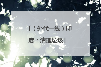 （外代一线）印度：清理垃圾