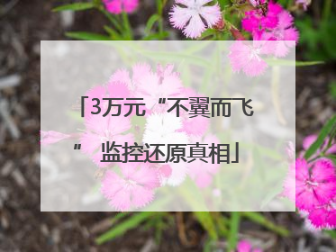 3万元“不翼而飞” 监控还原真相