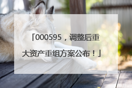 000595，调整后重大资产重组方案公布！