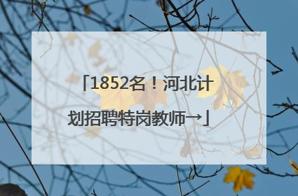 1852名！河北计划招聘特岗教师→
