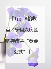 1亩=3倍收益？宁夏兴庆区解锁改革“黄金公式”