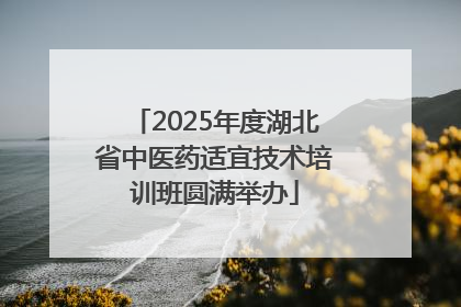 2025年度湖北省中医药适宜技术培训班圆满举办