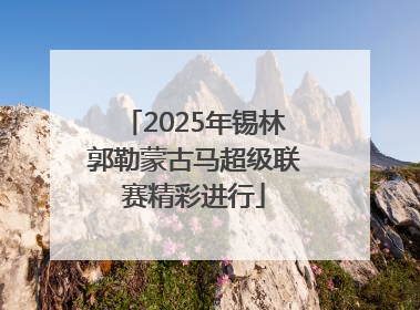 2025年锡林郭勒蒙古马超级联赛精彩进行