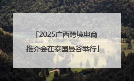 2025广西跨境电商推介会在泰国曼谷举行