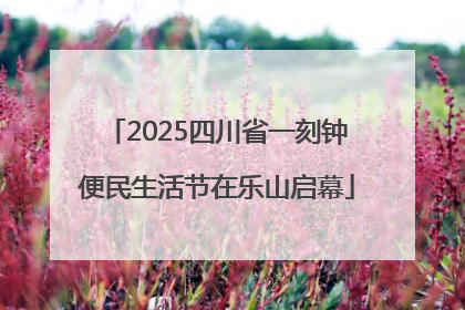 2025四川省一刻钟便民生活节在乐山启幕