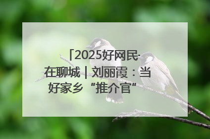 2025好网民·在聊城｜刘丽霞：当好家乡“推介官” 秀出乡村新风貌