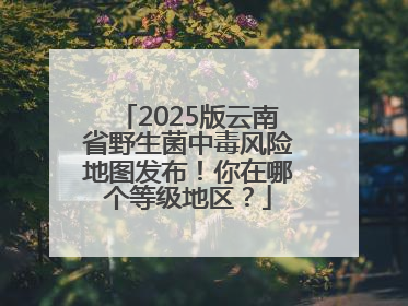 2025版云南省野生菌中毒风险地图发布！你在哪个等级地区？