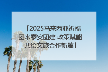 2025马来西亚祈福团来泰安团建 政策赋能共绘文旅合作新篇