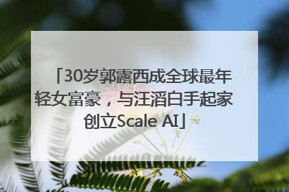 30岁郭露西成全球最年轻女富豪，与汪滔白手起家创立Scale AI