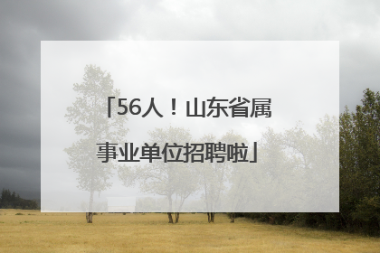 56人！山东省属事业单位招聘啦