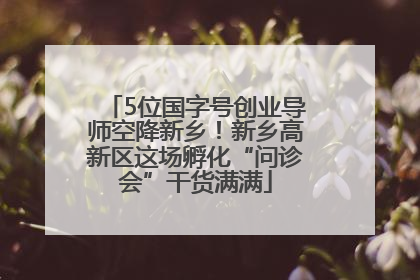 5位国字号创业导师空降新乡！新乡高新区这场孵化“问诊会”干货满满