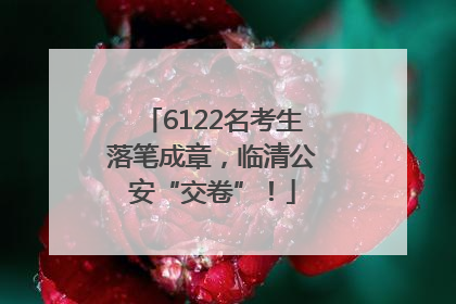 6122名考生落笔成章，临清公安“交卷”！