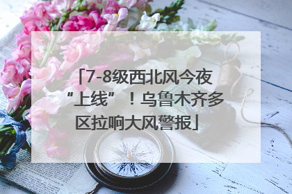 7-8级西北风今夜“上线”！乌鲁木齐多区拉响大风警报
