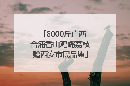8000斤广西合浦香山鸡嘴荔枝赠西安市民品鉴