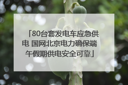 80台套发电车应急供电 国网北京电力确保端午假期供电安全可靠