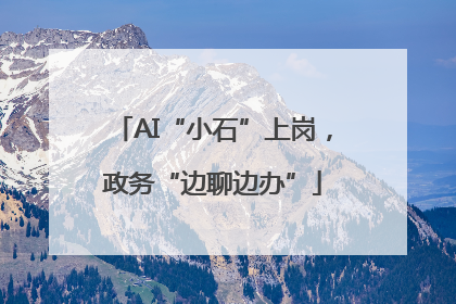 AI“小石”上岗，政务“边聊边办”