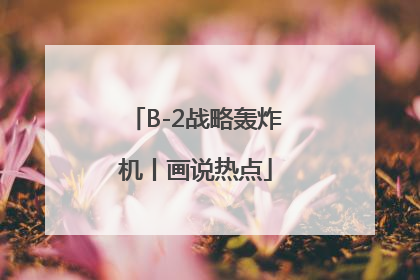 B-2战略轰炸机丨画说热点
