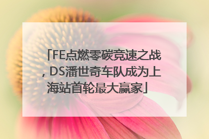 FE点燃零碳竞速之战，DS潘世奇车队成为上海站首轮最大赢家