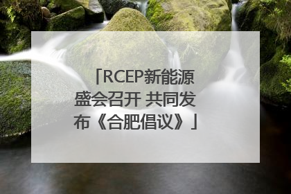 RCEP新能源盛会召开 共同发布《合肥倡议》